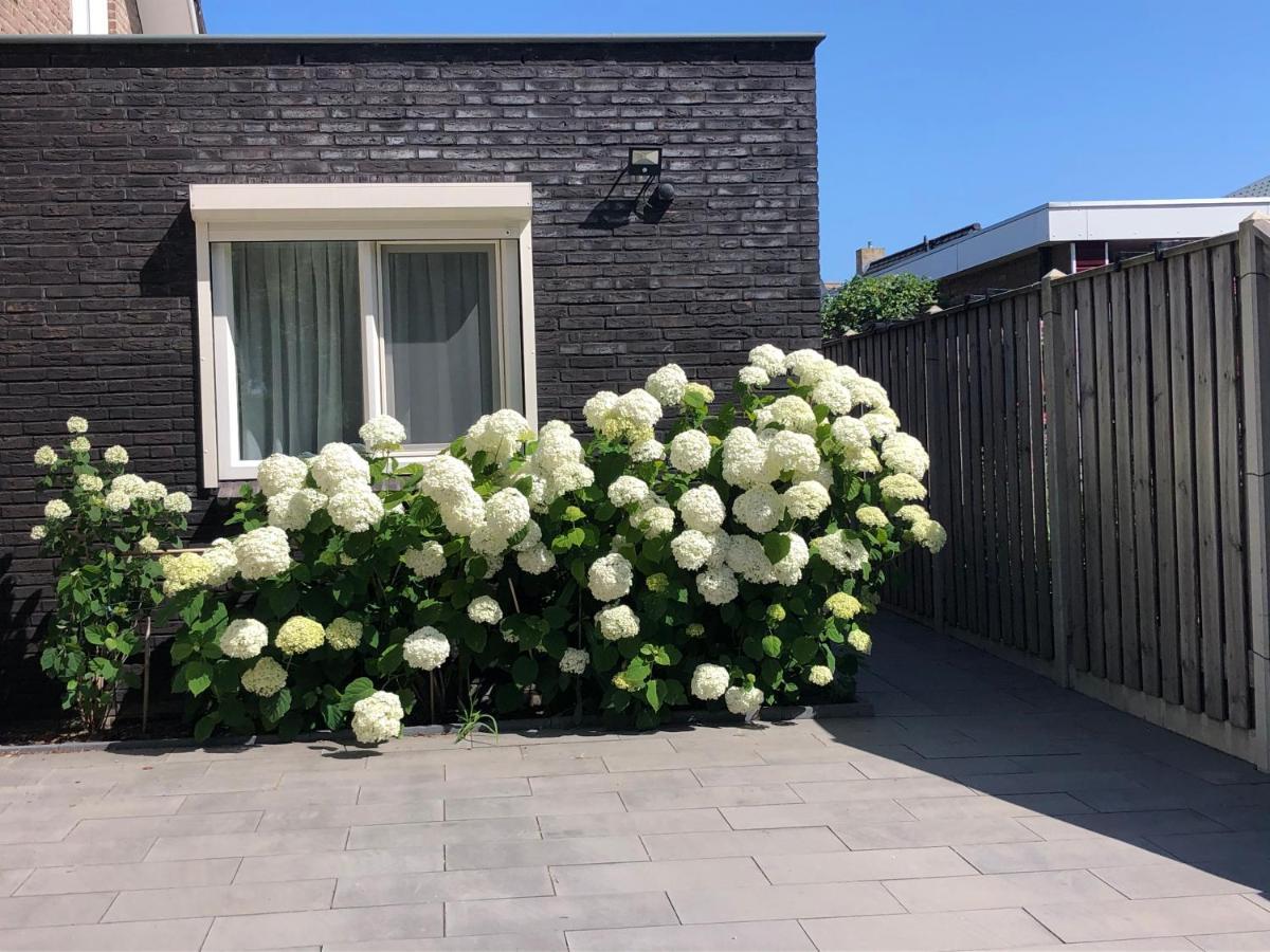 Zoutelande Koddelaan Vakantiewoning Exteriör bild