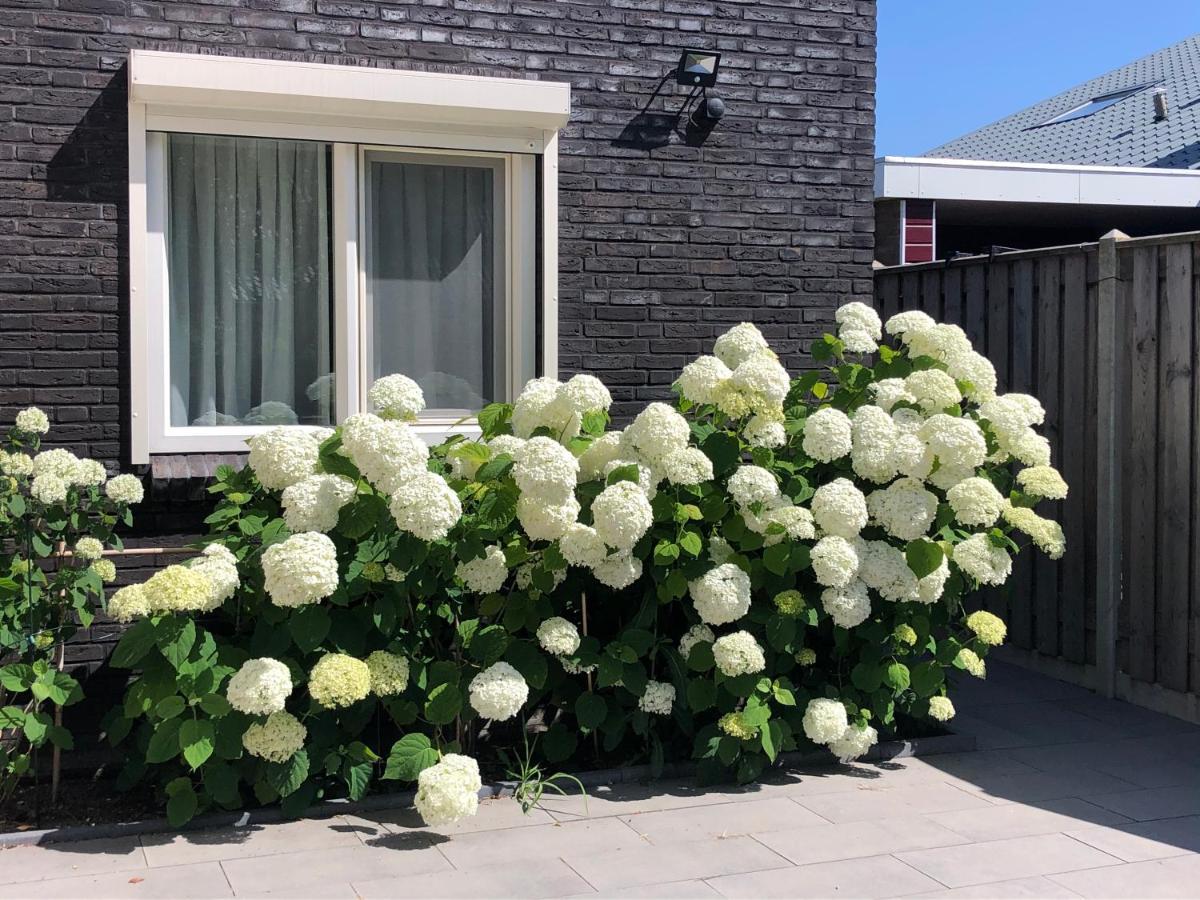 Zoutelande Koddelaan Vakantiewoning Exteriör bild