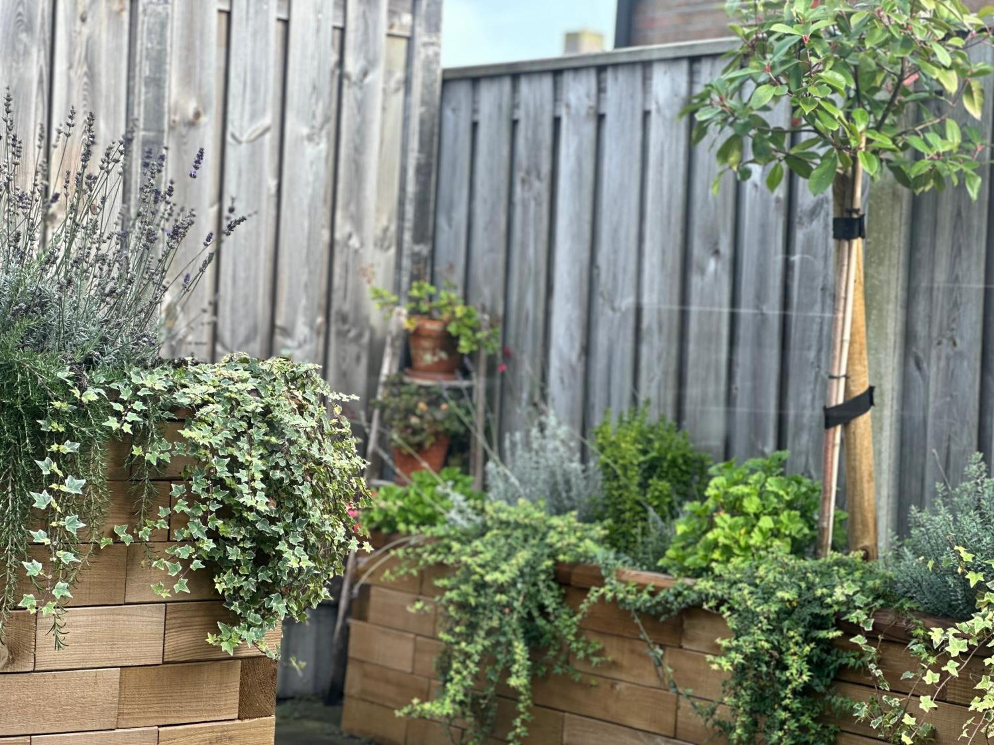 Zoutelande Koddelaan Vakantiewoning Exteriör bild
