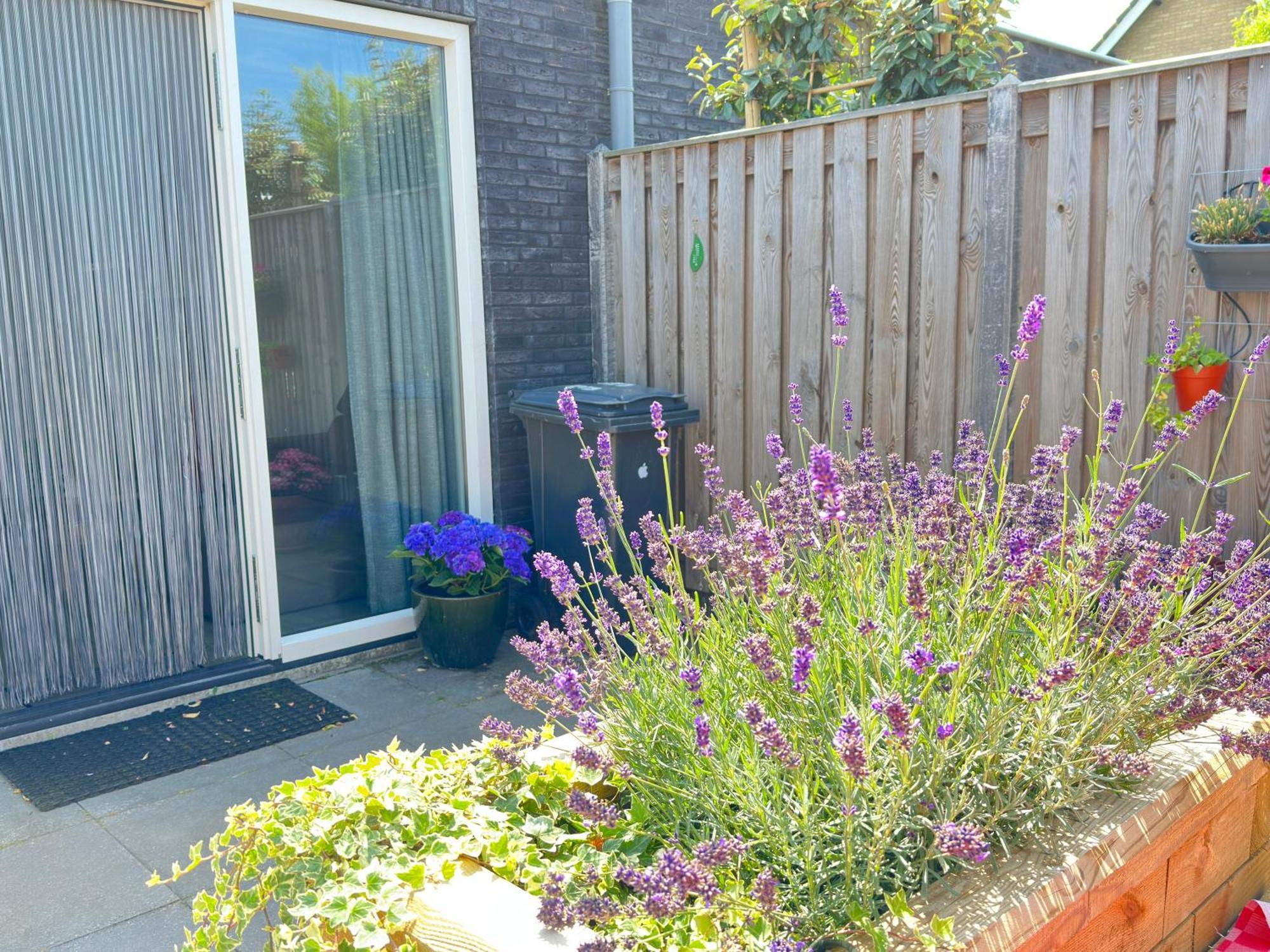 Zoutelande Koddelaan Vakantiewoning Exteriör bild